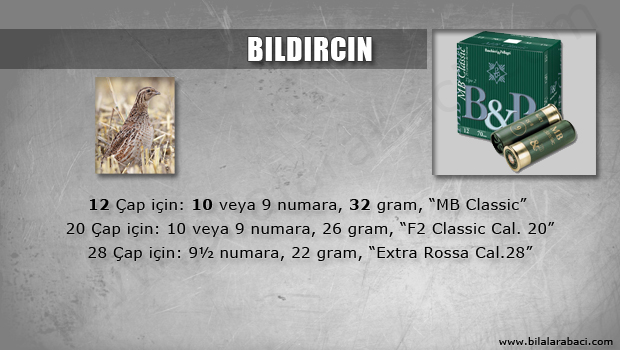 02-bildircin-avi-fisek-secimi-bp