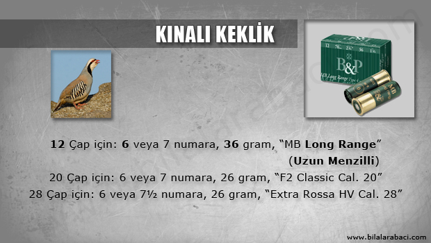 03-kinali-keklik-avi-fisek-secimi-bp