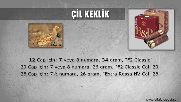 04-cil-keklik-avi-fisek-secimi-bp