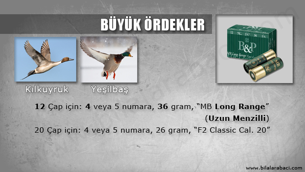 07-buyuk-ordek-avi-fisek-secimi-bp