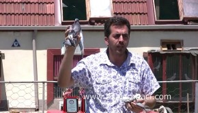 10-guvercinlere-fisildayan-adam-ortak-kumes-posta-guvercini-yarislari-resim
