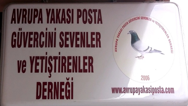 12-posta-guvercini-sevenler-yetistirenler-dernegi-istanbul-resim