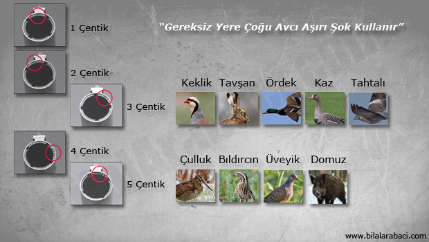 15-ava-gore-sok-secimi-icin-tavsiyeler-resim