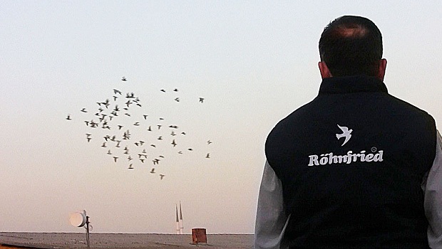 15-posta-guvercini-yarislari-2012-hikmet-yilmaz-resim