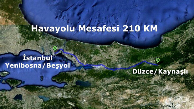 26-posta-guvercini-yarislari-duzce-kaynasli-havayolu-mesafesi-resim