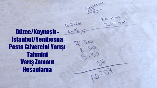 27-posta-guvercini-yarislari-nasil-hesaplanir-resim