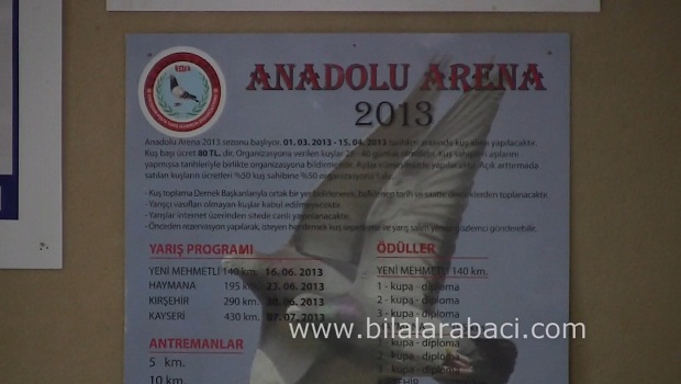3-guvercinlere-fisildayan-adam-ortak-kumes-posta-guvercini-yarislari-resim
