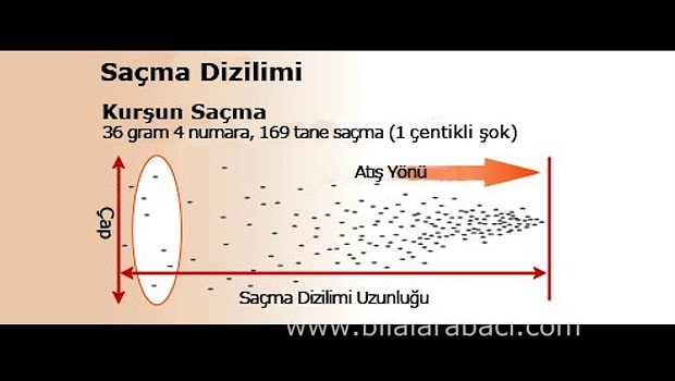 4-av-tufegi-atis-teknikleri-sacma-dizilimi-hareketli-hedefte-resim