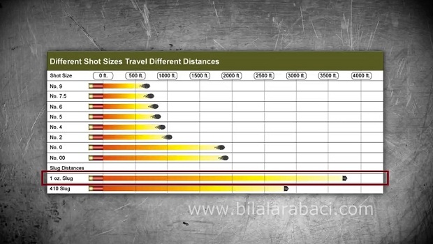 6-domuz-avi-tek-kursun-av-fisegi-azami-menzil-resim