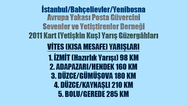 7-posta-guvercini-yaris-yerleri-1-vites-resim