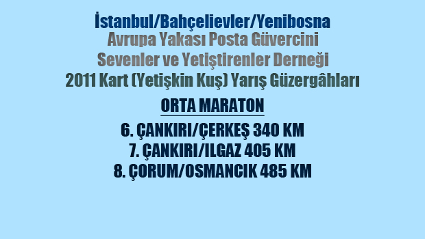 8-posta-guvercini-yaris-yerleri-2-orta-maraton-resim