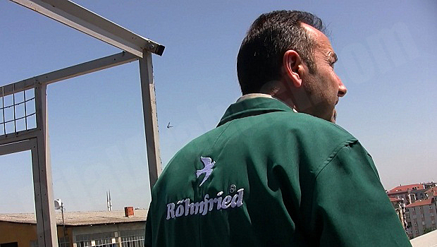 8-posta-guvercini-yarislari-2012-kuscu-hikmet-yilmaz-resim