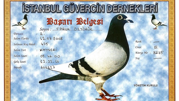 8-posta-guvercini-yarislari-sertifika-resim