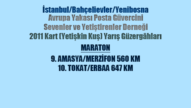 9-posta-guvercini-yaris-yerleri-3-maraton-resim