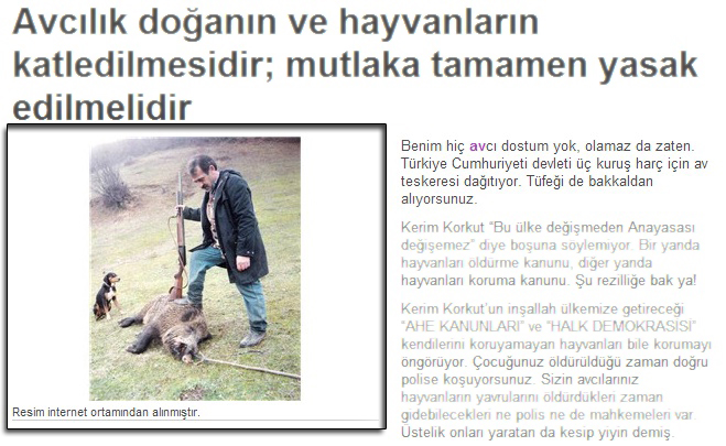 ava-saygi-nerede-fotografa-dikkat