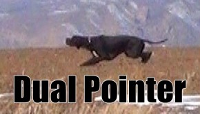 keklik-avi-2013-pointer-ferma-1-project-620-350
