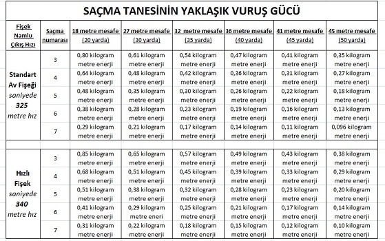 resim-3-sacma-tanesinin-yaklasik-vurus-gucu-350